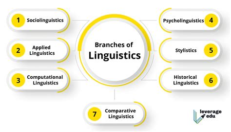 Linguists Explain the .